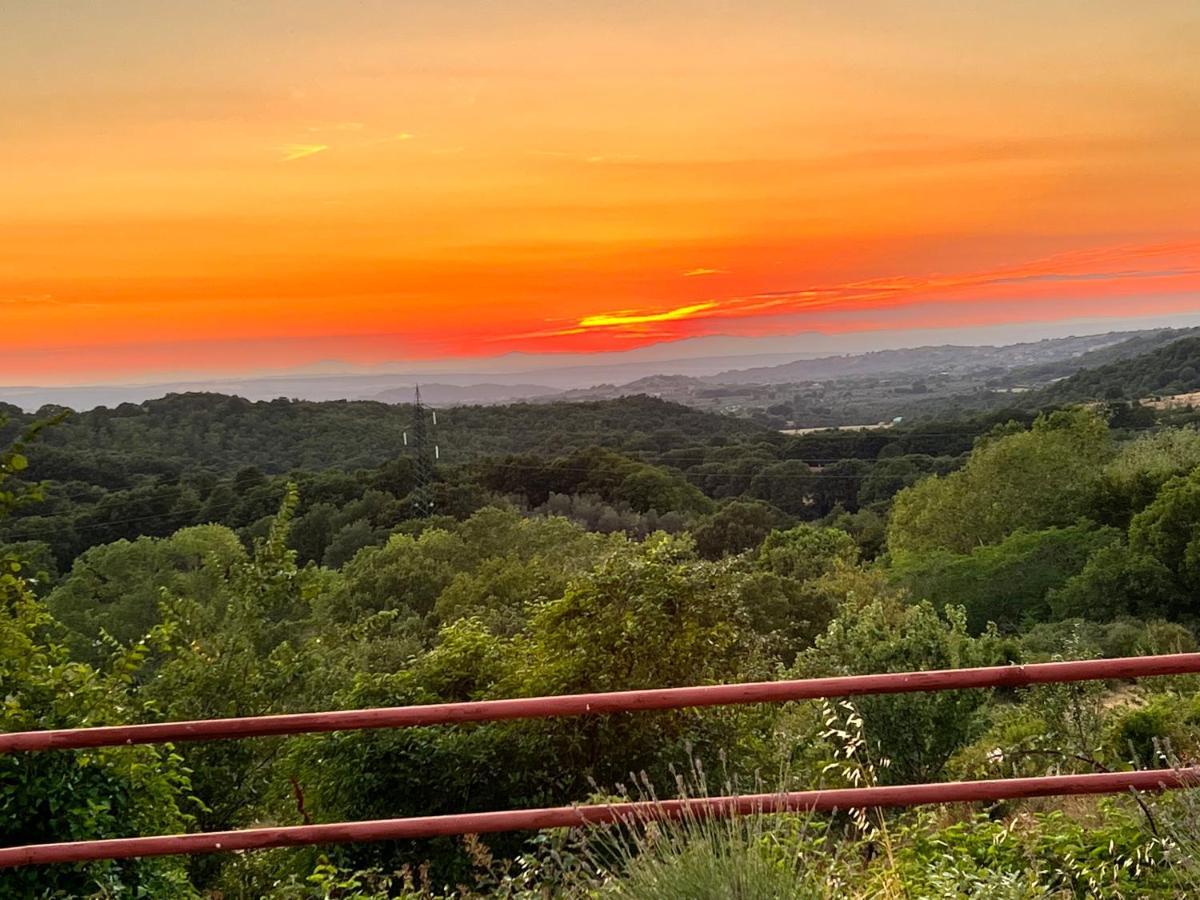 B&B Il Tramonto Barbarano Romano Екстериор снимка