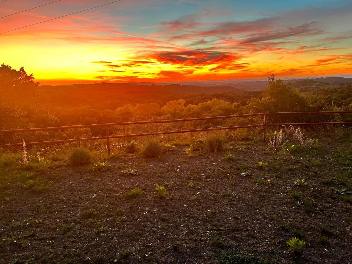 B&B Il Tramonto Barbarano Romano Екстериор снимка