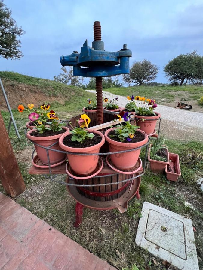 B&B Il Tramonto Barbarano Romano Екстериор снимка