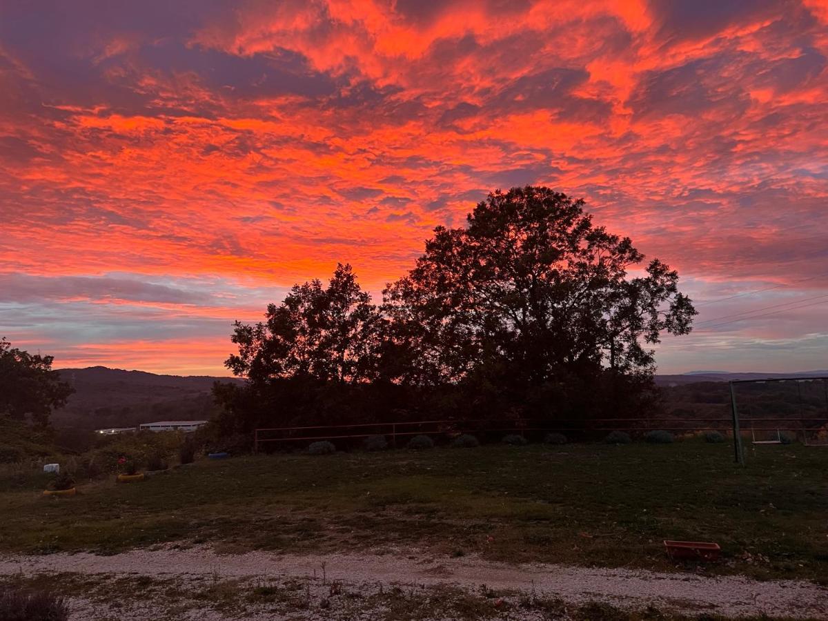 B&B Il Tramonto Barbarano Romano Екстериор снимка