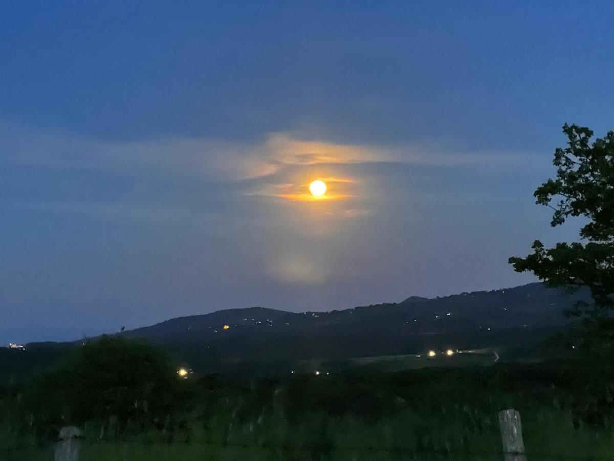 B&B Il Tramonto Barbarano Romano Екстериор снимка